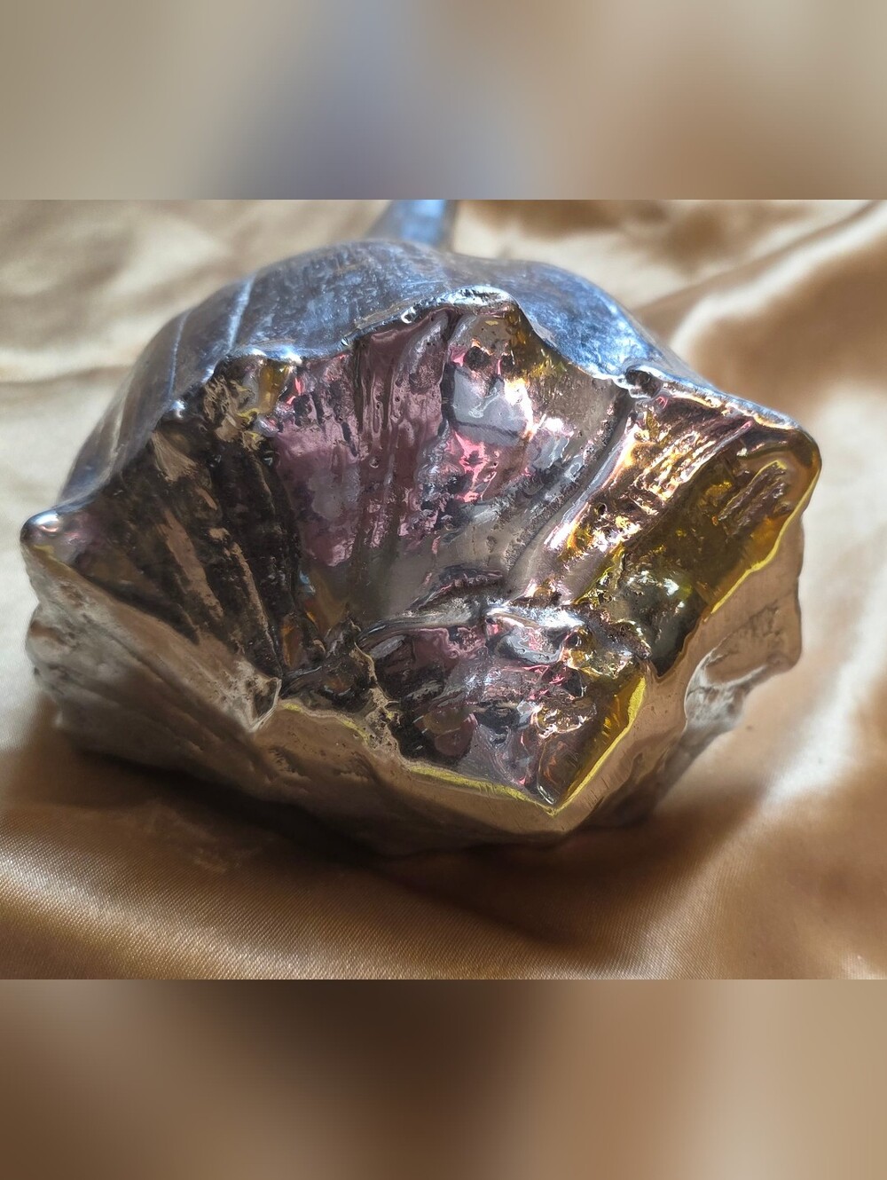 Cast Metal Shell Sculpture Decorative Accent - Picture 7 of 10